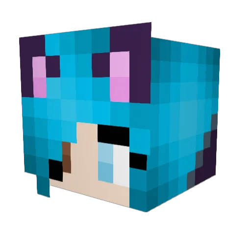 Freemyer Minecraft avatar head, 3D render