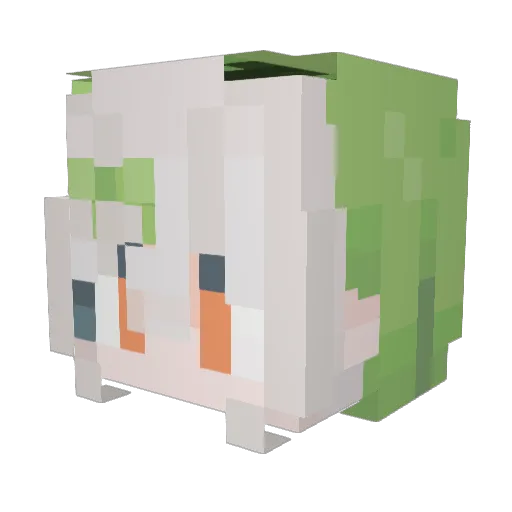 Freenegry Minecraft avatar head, 3D render
