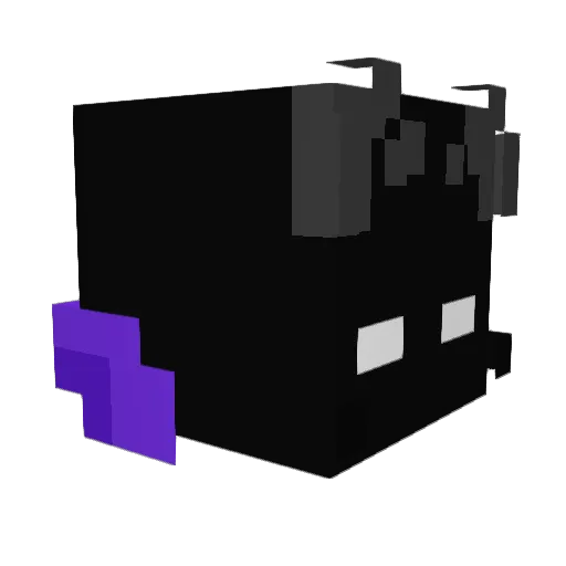FreezR1166 Minecraft avatar head, 3D render
