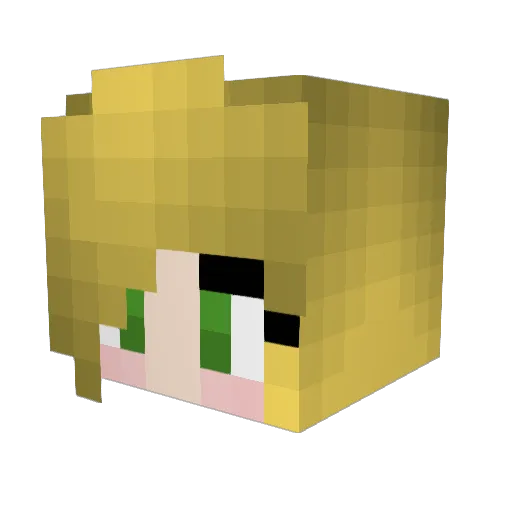 Freezer898 Minecraft avatar head, 3D render