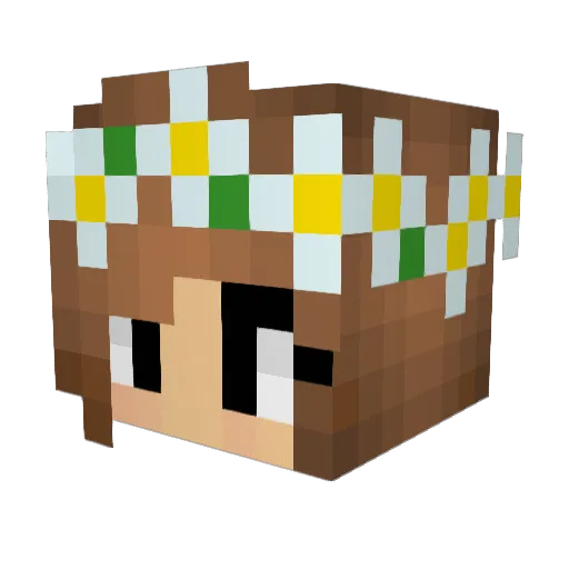 Freezerunner Minecraft avatar head, 3D render