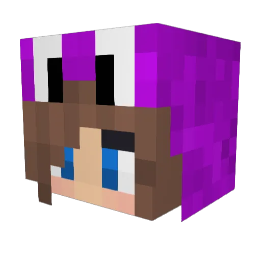 Freezinater Minecraft avatar head, 3D render