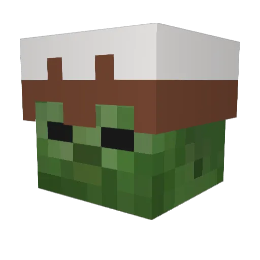 FreezingLotus73 Minecraft avatar head, 3D render