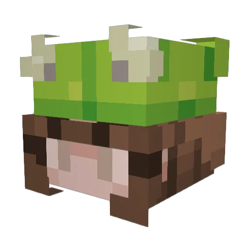 FregDeFrog Minecraft avatar head, 3D render