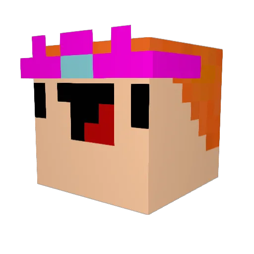 Fregadero Minecraft avatar head, 3D render