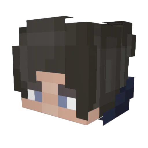 Fregly101 Minecraft avatar head, 3D render