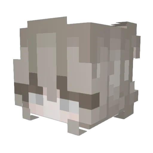 FreiPalle Minecraft avatar head, 3D render