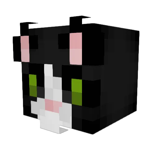 FreiherrCat Minecraft avatar head, 3D render