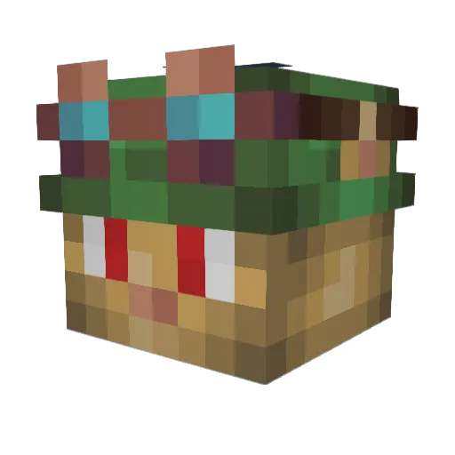 Frein Minecraft avatar head, 3D render