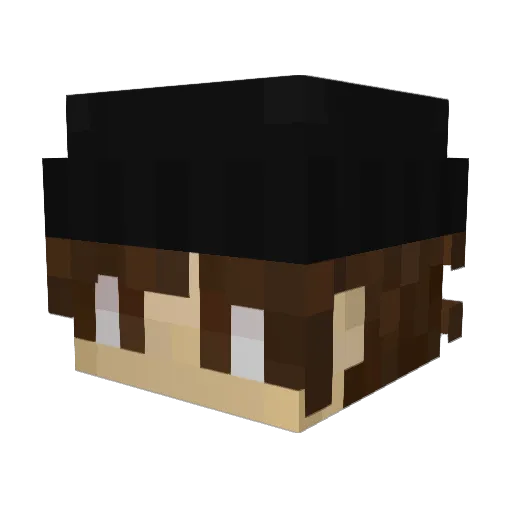 Freitassxz Minecraft avatar head, 3D render