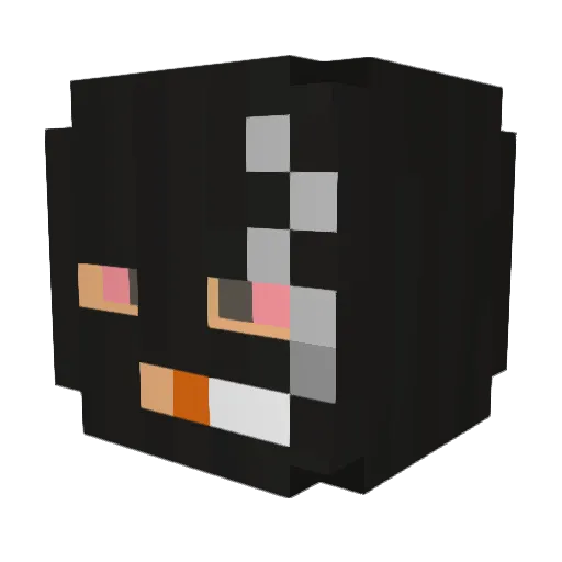Freitinhas17 Minecraft avatar head, 3D render