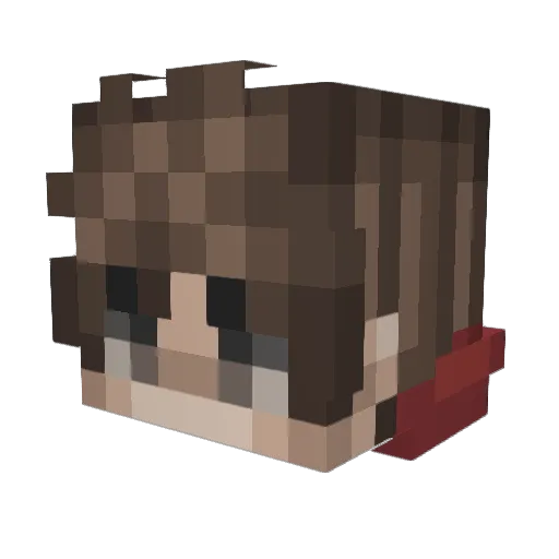 Fremtiid Minecraft avatar head, 3D render