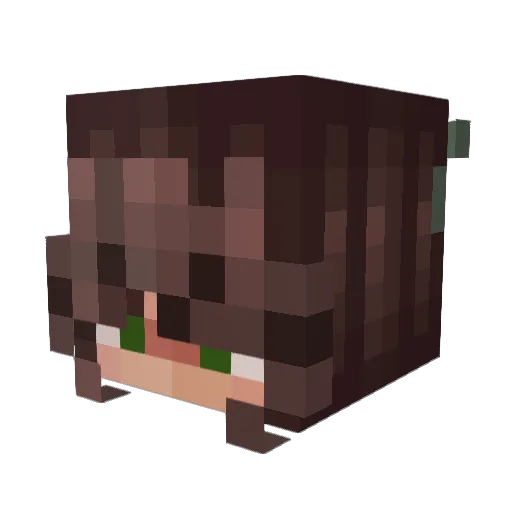 FrenchEmilie Minecraft avatar head, 3D render
