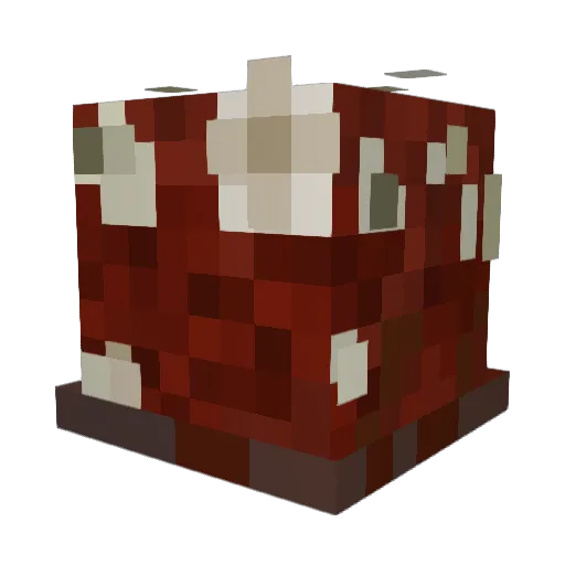 FrenchFries8989 Minecraft avatar head, 3D render