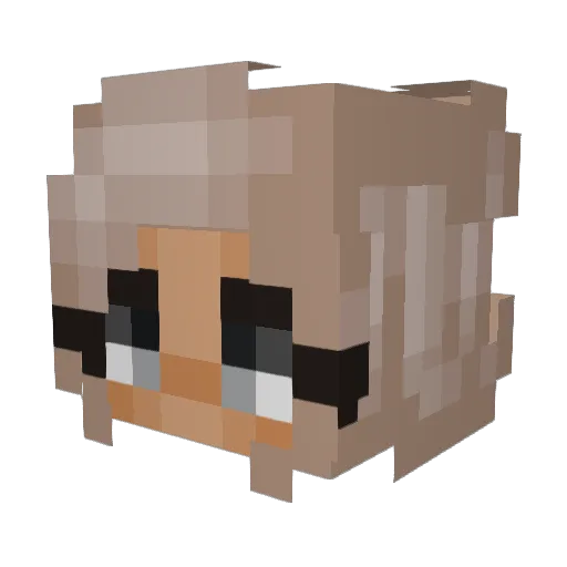 FrenchFry45 Minecraft avatar head, 3D render