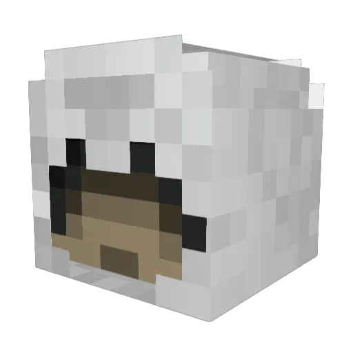 FrenchToastnc Minecraft avatar head, 3D render