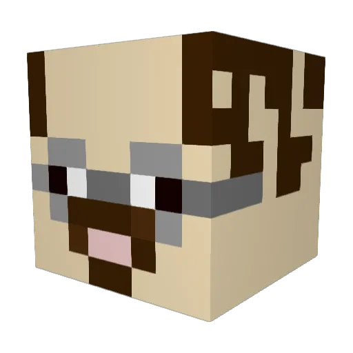 Frenchy47 Minecraft avatar head, 3D render