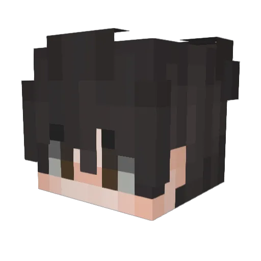 Frencis_8261 Minecraft avatar head, 3D render