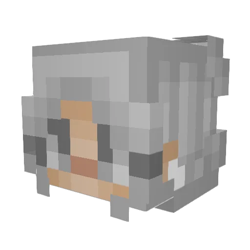 FreneticFerret Minecraft avatar head, 3D render