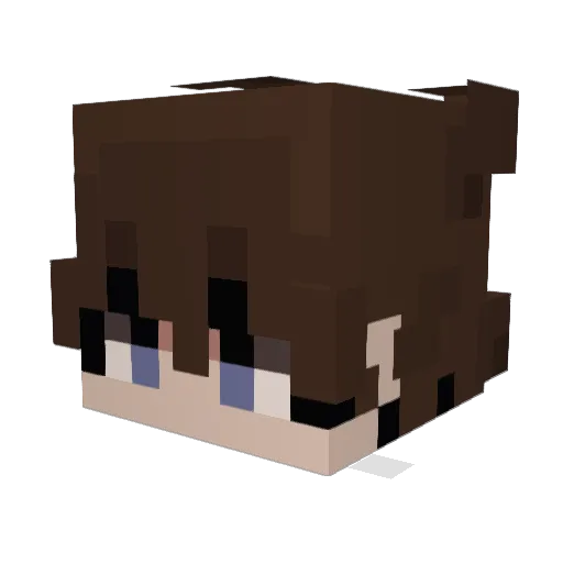 Frenziaczek Minecraft avatar head, 3D render