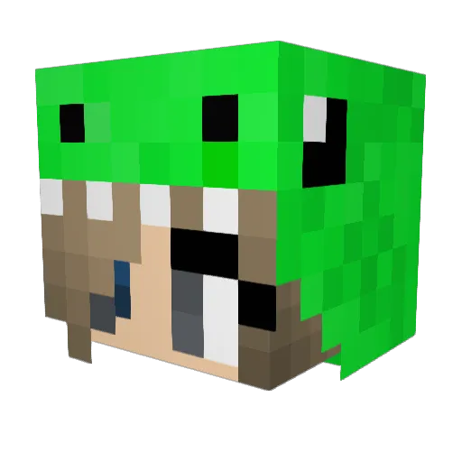 Frenzylocust Minecraft avatar head, 3D render