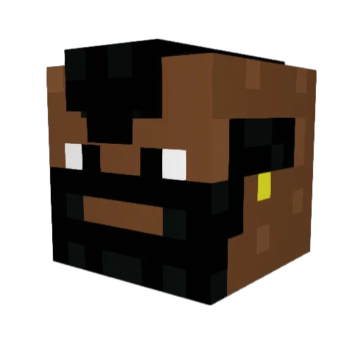 FrereDoitPartir Minecraft avatar head, 3D render