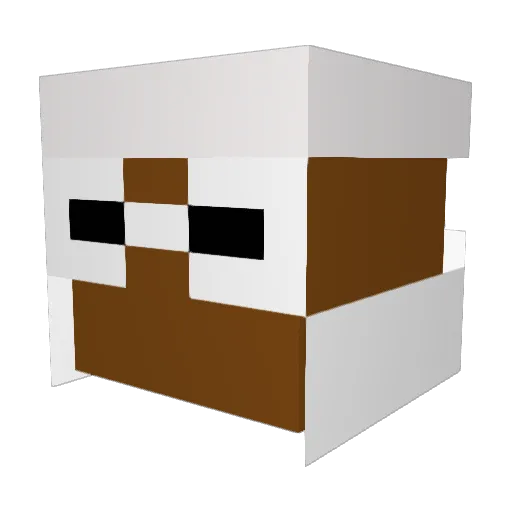FreshConk Minecraft avatar head, 3D render