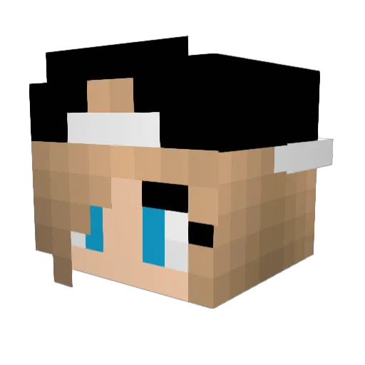 FreshPig_LP Minecraft avatar head, 3D render