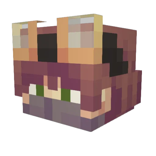 FreshSM Minecraft avatar head, 3D render