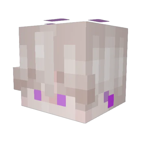 FreshTVv Minecraft avatar head, 3D render