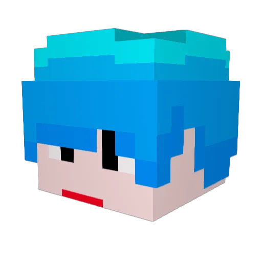 Fresh_Tuna Minecraft avatar head, 3D render