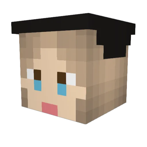 Fresh_prinzz1 Minecraft avatar head, 3D render