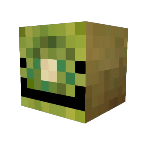 FreshestKiwi Minecraft avatar head, 3D render