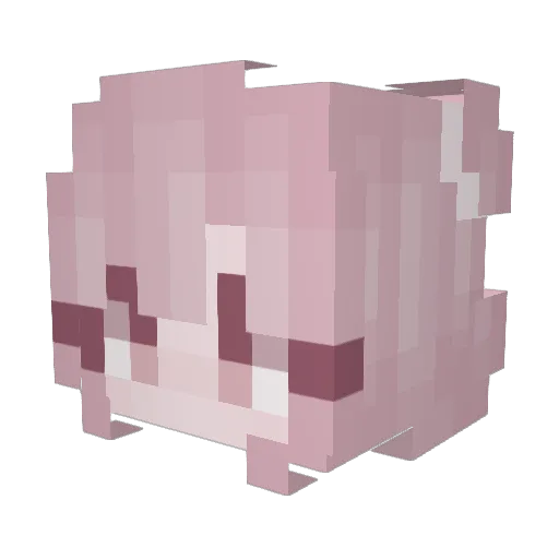 Freshonomics Minecraft avatar head, 3D render