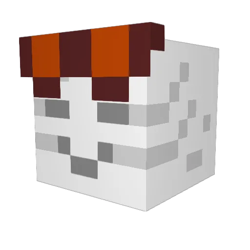 Freshupp Minecraft avatar head, 3D render