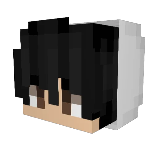 Fresse1 Minecraft avatar head, 3D render