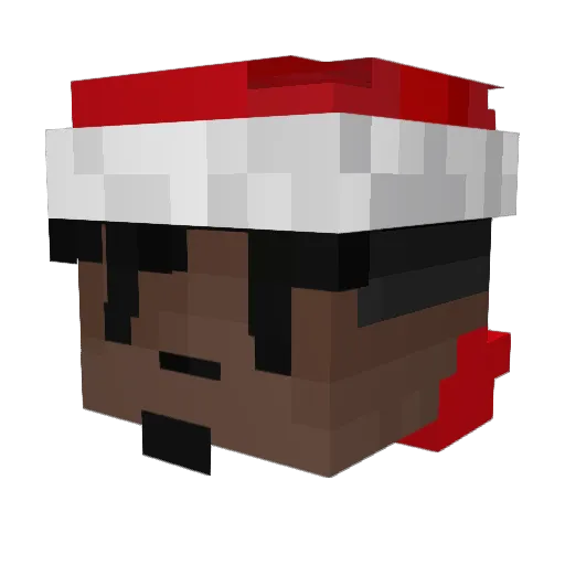 Fressh1 Minecraft avatar head, 3D render