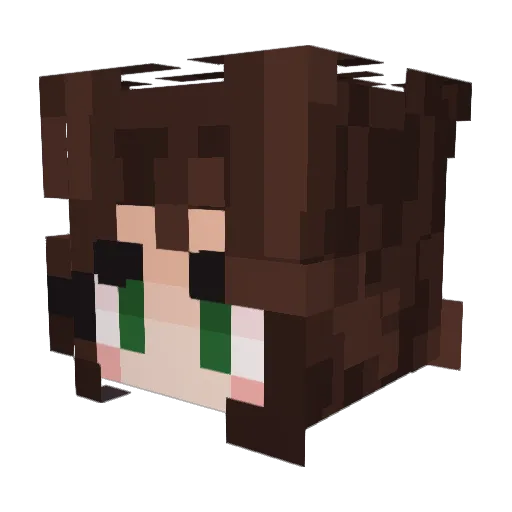 Fressiaa Minecraft avatar head, 3D render