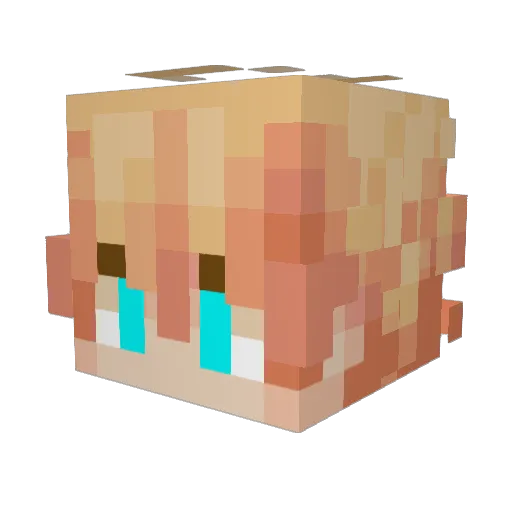 Freveo_ Minecraft avatar head, 3D render