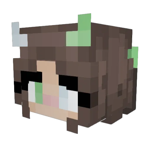 FreyFrey24 Minecraft avatar head, 3D render