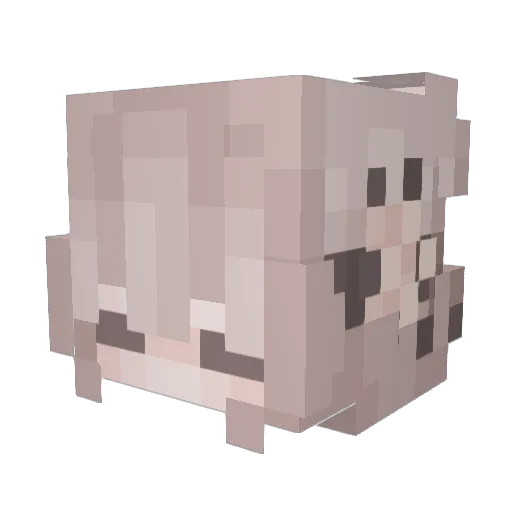Freya2067 Minecraft avatar head, 3D render