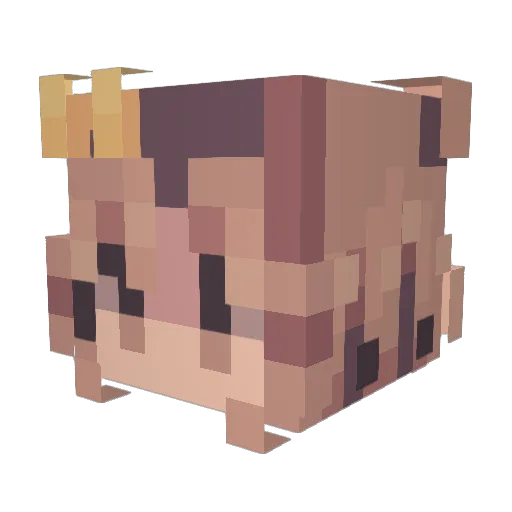 Freya_0323 Minecraft avatar head, 3D render