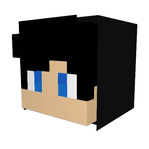 FriMin07 Minecraft avatar head, 3D render