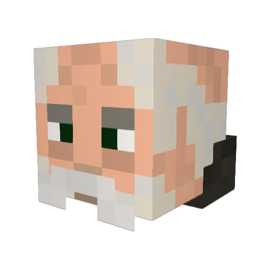 Friar_Quixote Minecraft avatar head, 3D render