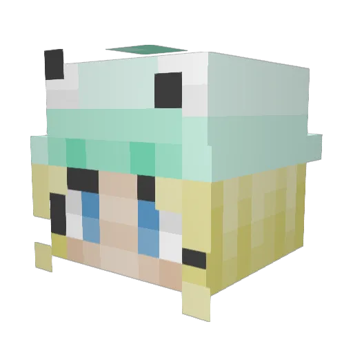 Fridadyr Minecraft avatar head, 3D render