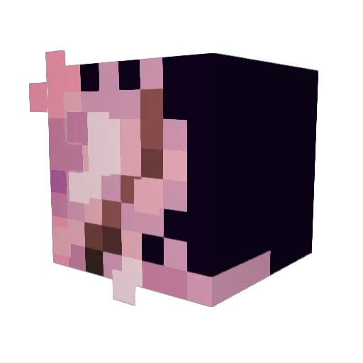 Fridaihle Minecraft avatar head, 3D render