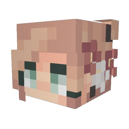 Fridasofie Minecraft avatar head, 3D render