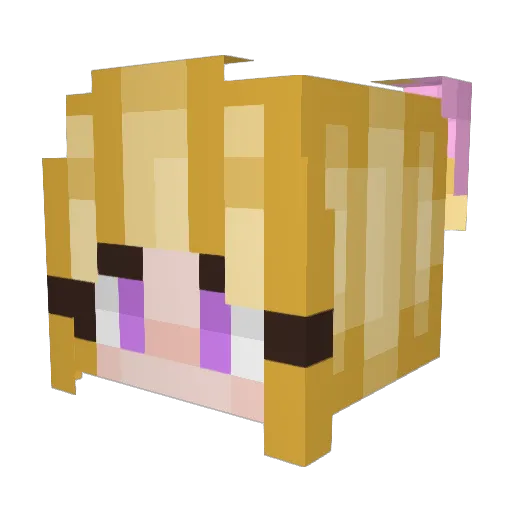 Fridelin07 Minecraft avatar head, 3D render