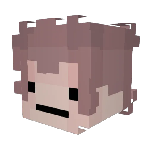 Fridge_Brand Minecraft avatar head, 3D render