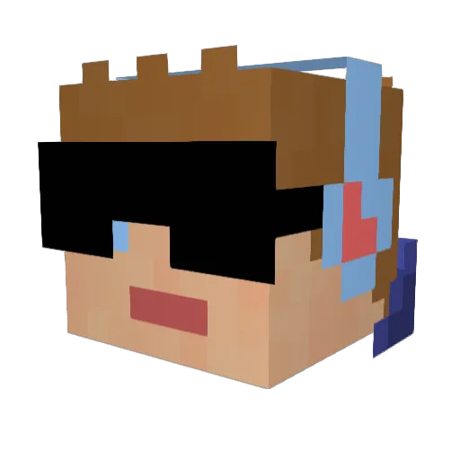 Fridgebridge Minecraft avatar head, 3D render
